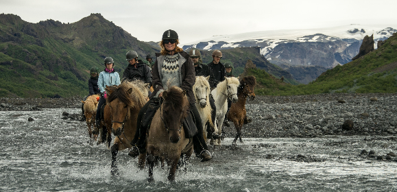 Riding with the Herd in Iceland 